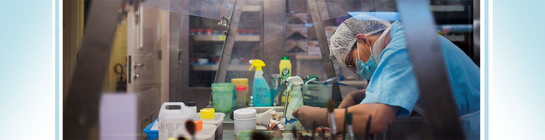 Laboratory staff handling a specimen