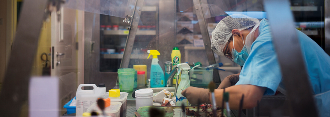 Laboratory staff handling a specimen